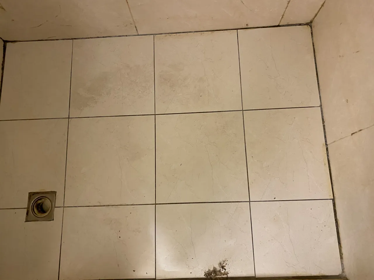 浴室地坪與牆地轉角可見深色磁磚縫和局部污漬