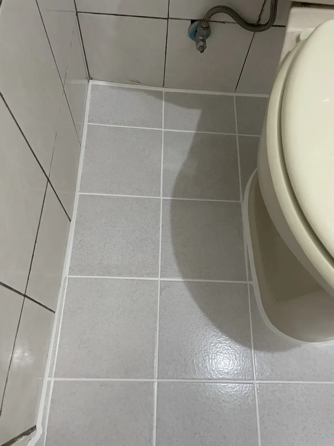 台北 DIY 後馬桶側邊細磚地坪施工後