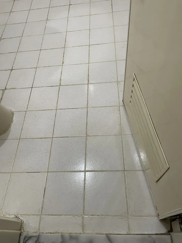 台北 DIY 後浴室細磚地坪全景施工前