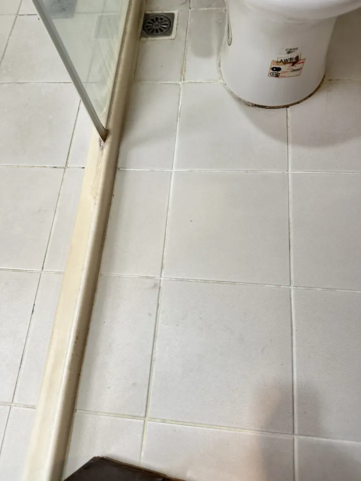 竹北馬桶與玻璃隔間側邊施工前